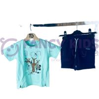 9-36 Ay Erkek Çocuk İkili Takım Koala Baskılı T-Shirt - Şort