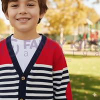 Erkek Çocuk Çizgili Triko Okul Hırkası – Önden Düğmeli, Uzun Kollu, Rahat ve Şık Model
