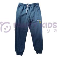 Erkek Çocuk Future Baskılı Mavi Kapüşonlu Eşofman Takımı