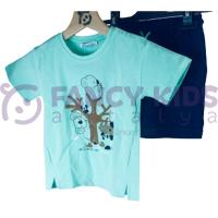 Erkek Çocuk Koala Baskılı Mint T-Shirt Bağcıklı Lastikli Şort İkili Takım