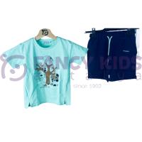 Erkek Çocuk Koala Baskılı Mint T-Shirt Bağcıklı Lastikli Şort İkili Takım